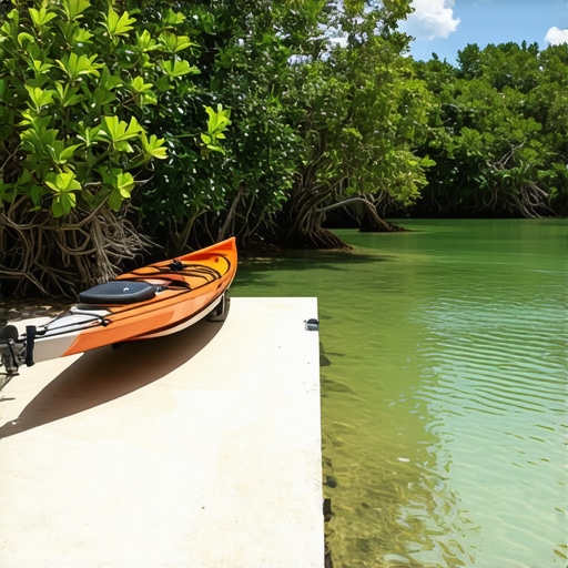 Where to Launch Your Kayak in Weeki Wachee for the Best Views